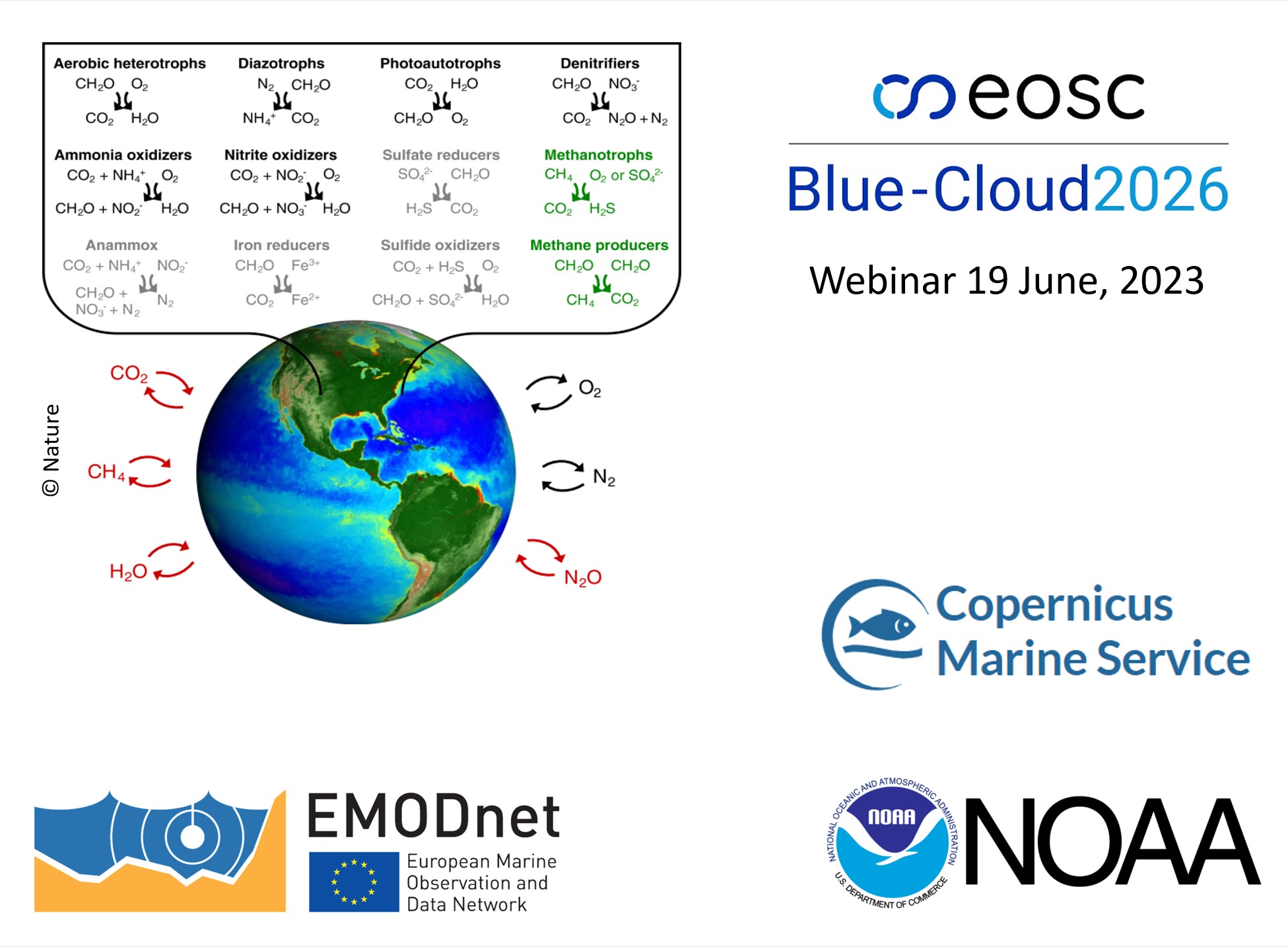 Blue Cloud 2026: webinar sul controllo della qualità dei dati biogeochimici